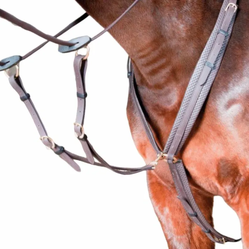 Online - Collier de chasse Biotack® marron foncé Colliers De Chasse