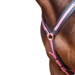 Colliers De Chasse Poneys|Colliers De Chasse*TdeT - Collier de chasse Biotack fuchsia Rose
