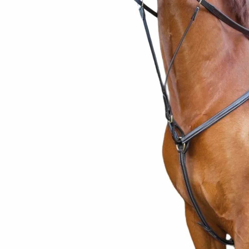 Colliers De Chasse Poneys|Colliers De Chasse*TdeT - Collier de chasse doublé havane foncé