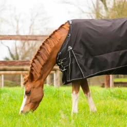 Couvertures Et Chemises*TdeT - Couverture de pré Stretch Neck® /gris 300g Noir