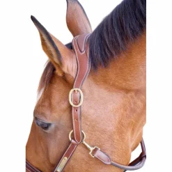 Licols Poneys|Licols En Cuir*TdeT - Licol cuir et plaque anatomique tabac