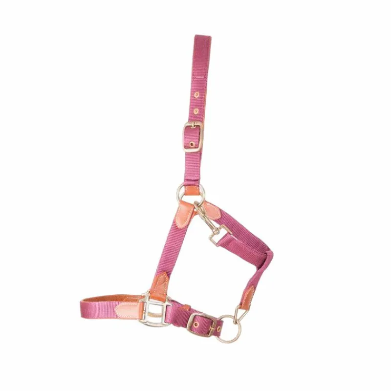 Licols Poneys|Licols En Cuir*TdeT - Licol en cuir et sangle bordeaux