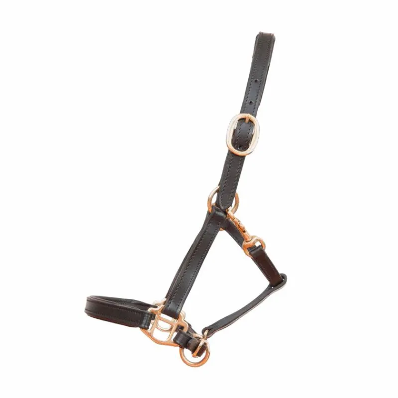 New - Licol foal en cuir noir Licols Foals