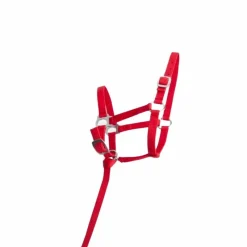 Online - Licol foal synthétique rouge Élevage|Licols Foals