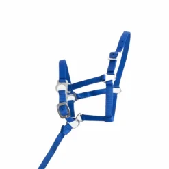 Best - Licol foal synthétique bleu roi Élevage|Licols Foals