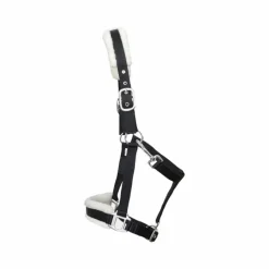 Licols Poneys|Licols Avec Mouton*TdeT - Licol nylon et mouton / écru Noir