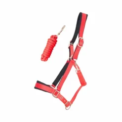 Best - Licol Satiné Doublé longe ronde assortie rouge Licols Poneys|Ensembles Licols Et Longes