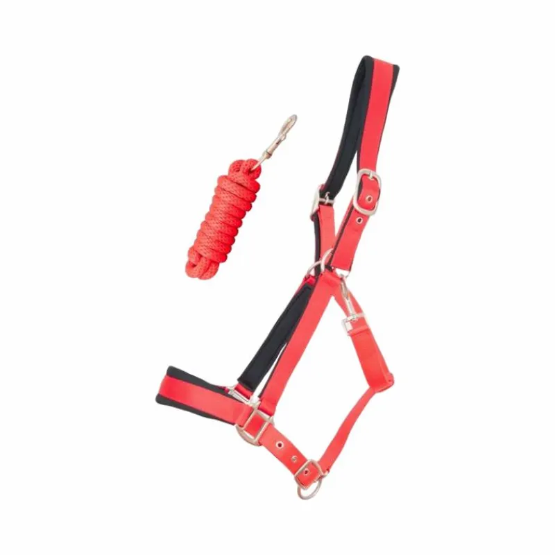 Best - Licol Satiné Doublé longe ronde assortie rouge Licols Poneys|Ensembles Licols Et Longes