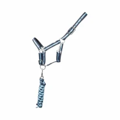 Licols Poneys|Ensembles Licols Et Longes*TdeT - Licol synthétique doublé + longe tressée marine/ ciel Bleu