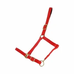 Discount - Licol synthétique doublé suédine Licols Poneys|Licols En Nylon