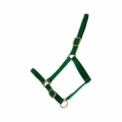 Licols Poneys|Licols En Nylon*TdeT - Licol synthétique doublé suédine foncé Vert