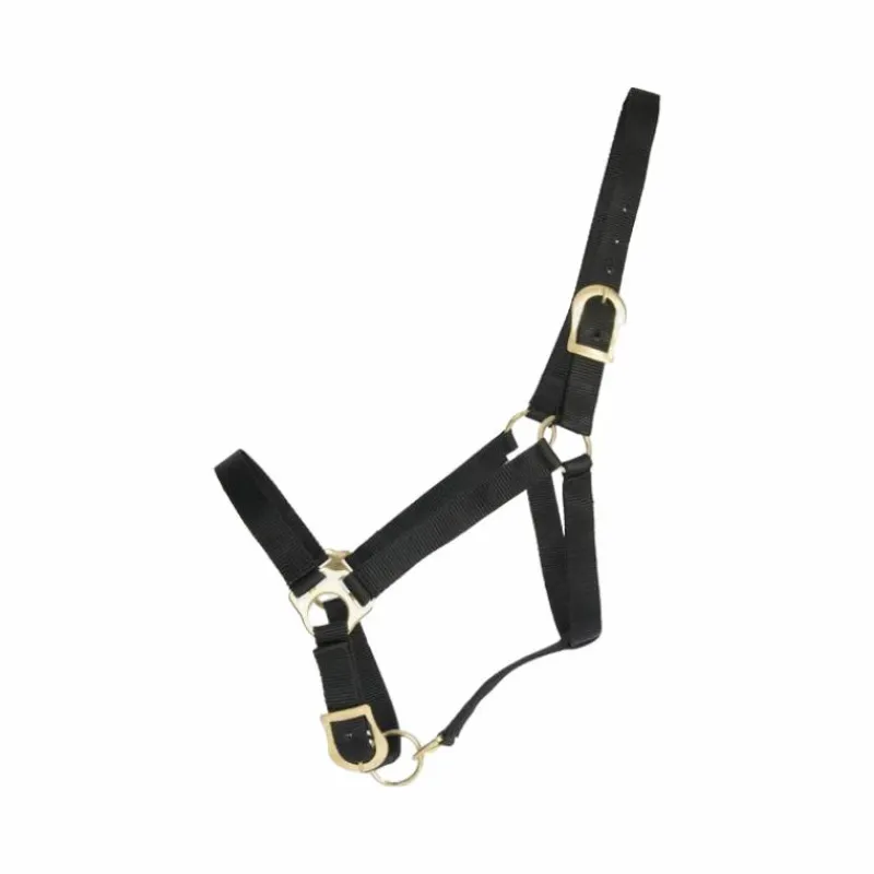 Clearance - Licol synthétique noir Licols Poneys|Licols En Nylon