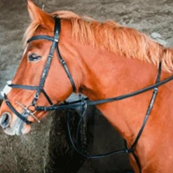 Martingales*TdeT - Martingale e Noir