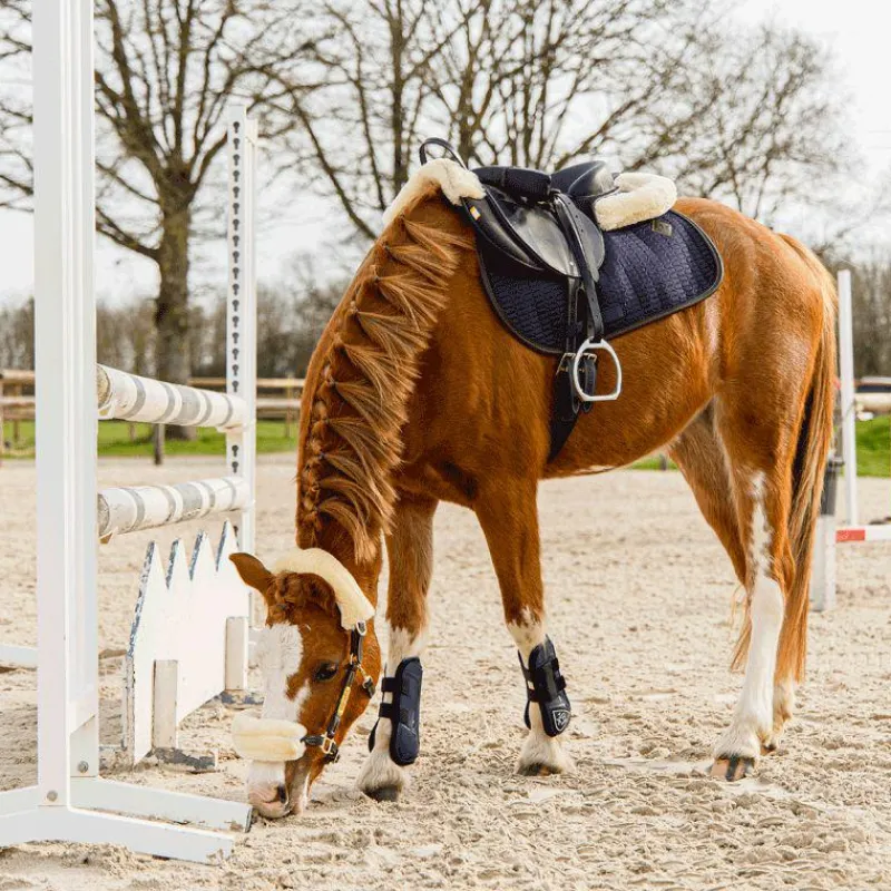 Clearance - Selle bardette Selles Poneys|Bardettes