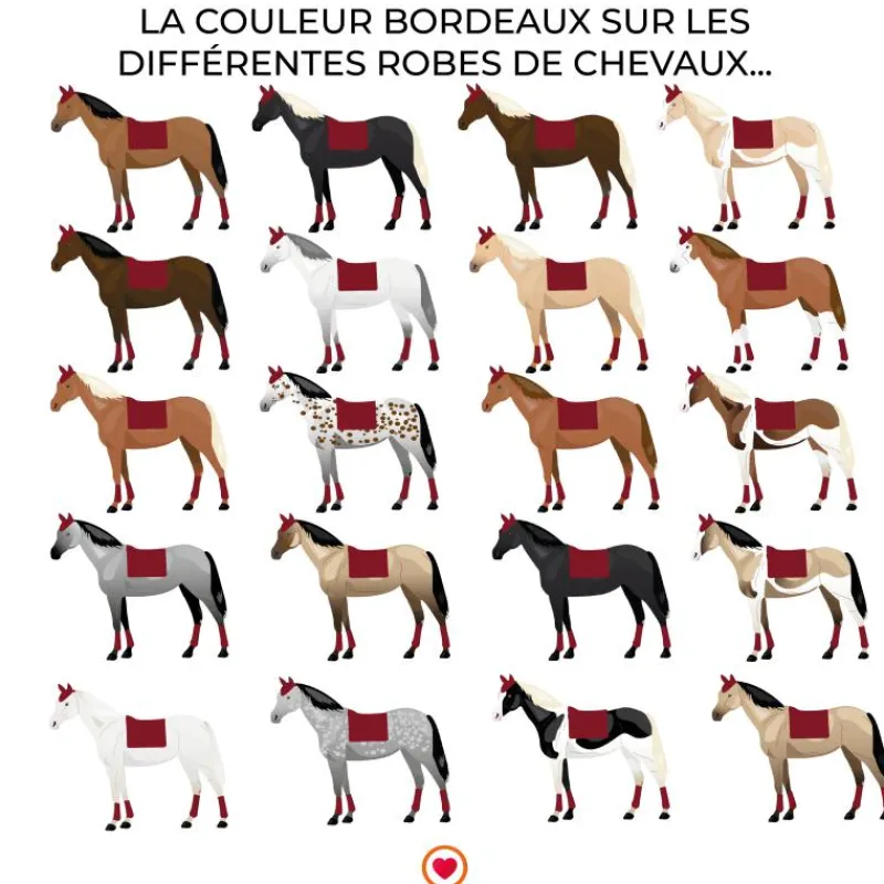 New - Tapis de selle Thérèse bordeaux Tapis De Selle Poneys|Tapis Cso/ Mixtes