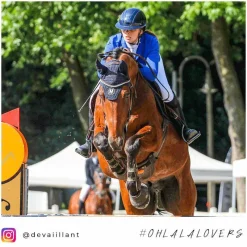 Online - Cloches Safety Bell Marron Concours Complet D'Equitation