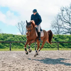New - Cloches Safety Bell Save the Sheep Noir Concours Complet D'Equitation