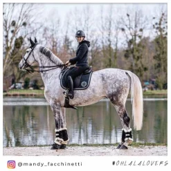 New - Cloches Safety Bell Save the Sheep Noir Concours Complet D'Equitation