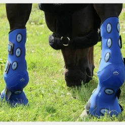 Online - Guêtres d'écurie antérieurs Magnetik 4 hours x2 Accessoires De Massages|Guêtres D'Écurie