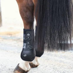 New - Guêtres fermées postérieurs Absolute noir x2 Dressage|Guêtres Fermées