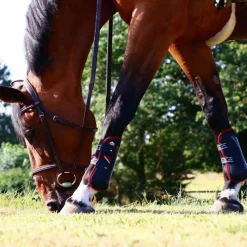 Hot - Guêtres ouvertes Carbon Gel Vento Color Edition Noir/ Bordeaux x2 Guêtres Ouvertes|Cso