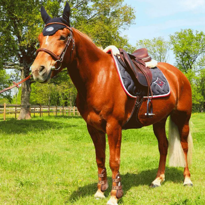 Cso|Guêtres Ouvertes*Veredus - Guêtres ouvertes Carbon Gel Vento Marron x2