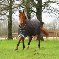 Protège-Boulets*Veredus - Guêtres postérieurs TRC Vento High Noir