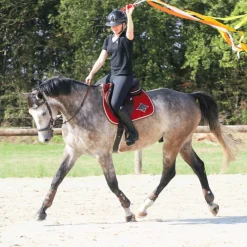 Protège-Boulets*Veredus - Protège-boulets Olympus Vento Marron