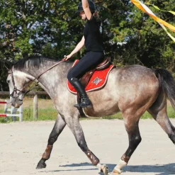 Protège-Boulets*Veredus - Protège-boulets Olympus Vento Marron