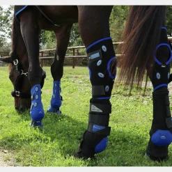 Accessoires De Massages|Protège-Jarrets*Veredus - Protège-jarrets Magnetik