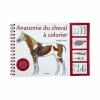 Clearance - Anatomie du cheval à colorier Librairie